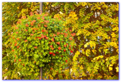 25_04_Weekend_Gdansk_16